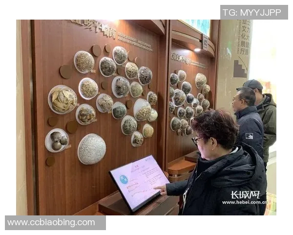 西安篮球队的转型之路：从传统到现代的深度解析与发展探讨