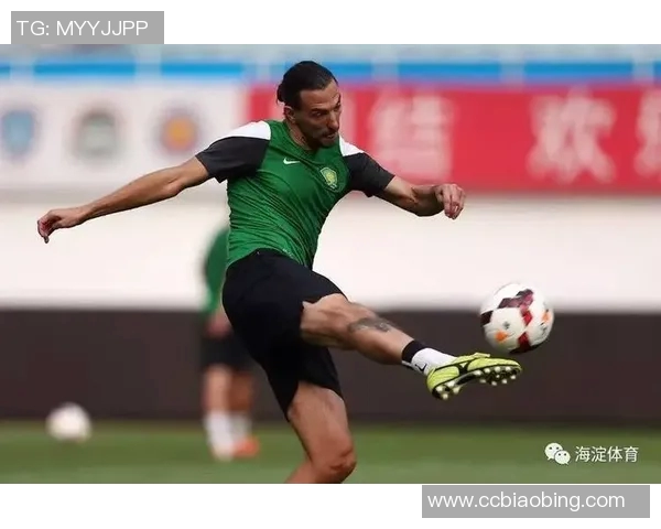 齐鲁大地双线战报：职业篮球争锋与足球新势力崛起